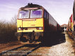 Click HERE for full size picture of 60041